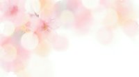 Soft pink and peach watercolor background with delicate floral elements and gentle bokeh effects for spring designs and feminine projects.
