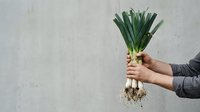 Person holding fresh leek with roots and soil against neutral background, suitable for cooking, gardening, organic produce, and food photography projects.