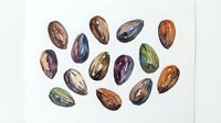 Isolated gemstones and mineral specimens arranged on white background, featuring polished oval and teardrop shaped stones in brown, purple, and green tones for design projects.