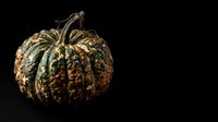 Textured ornamental gourd with deep ridges and mottled green-brown coloring isolated on black background, suitable for autumn designs and seasonal graphics.