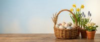 Easter basket with eggs and spring flowers on wooden table for holiday celebration and seasonal decoration.