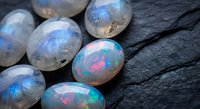 Collection of polished opal gemstones displaying vibrant blue, green and pink fire patterns on dark wooden surface for jewelry making and mineral collecting.