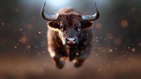 Powerful bull with sharp horns charging forward in dramatic lighting with dust particles creating atmospheric mood, front view close-up portrait on dark background.