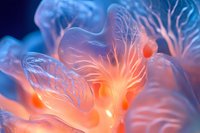 Ethereal coral polyps in vibrant blue and orange colors create abstract underwater macro composition with delicate tentacles and translucent textures.