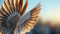 Detailed macro shot of brown bird wing feathers arranged in natural pattern against soft blue sky background, highlighting intricate texture and structure.