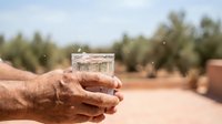Close-up of weathered male hand holding clear glass of fresh water outdoors in arid desert landscape with olive trees. Concept for hydration, drought awareness, water scarcity.