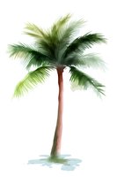 Watercolor palm tree with green fronds and brown trunk on white background, isolated botanical illustration for tropical design projects and wall art prints.