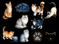 Cute cats collection isolated on transparent background, ready for t-shirt design, clipart, stickers, print-on-demand products and sublimation projects.
