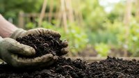 Hands in gardening gloves holding rich dark compost soil in vegetable garden with blurred greenhouse background for organic farming and sustainable agriculture.