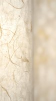 Delicate leaf skeleton with intricate vein patterns on textured cream paper background for natural organic design projects.