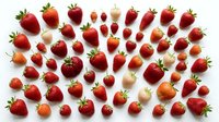 Assorted fresh strawberries in various sizes and ripeness levels arranged on white background, ready for food styling, culinary design, and healthy eating content.