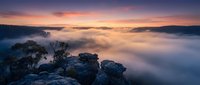 Misty valley landscape at sunrise with rocky outcrops and bare trees emerging from dense fog, creating a serene, atmospheric scene for nature and travel projects.