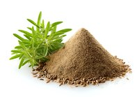 Fresh rosemary herb next to pile of ground cumin spice on white background, ingredients for Mediterranean and Middle Eastern cuisine.