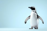 Magellanic penguin standing upright against light blue background, black and white flippers extended. Isolated wildlife portrait for nature and conservation projects.