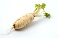 Fresh organic parsnip root vegetable with green leaves isolated on white background, raw healthy produce for cooking and food preparation.