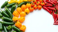 Fresh colorful chili peppers arranged in rainbow gradient from green to red on white background. Spicy hot peppers variety for cooking and seasoning.
