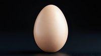 Fresh chicken egg with textured shell standing upright on dark background with soft lighting and reflection, minimalist food photography composition.