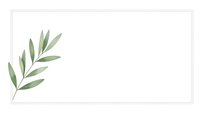 Elegant green olive branch with leaves on clean white background for natural organic design projects and botanical decorations.