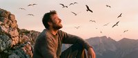 Middle-aged man with dark beard and casual brown jacket sitting on rocky mountain cliff, gazing at scenic landscape with flying birds overhead during golden hour sunset. Perfect for travel, adventure, lifestyle, and inspirational content.