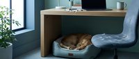 Brown dog sleeping peacefully in cozy pet bed under modern wooden desk in contemporary home office workspace with natural light from window.