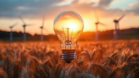 Glowing light bulb in wheat field at sunset with wind turbines in background symbolizes renewable energy and sustainable agriculture solutions.