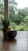Black ceramic coffee cup and rosemary plant on wooden table by window with garden view creating peaceful morning atmosphere for relaxation and mindfulness.