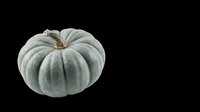 Gray-blue pumpkin isolated on transparent background, ready for fall clipart, stickers, T-shirt design, sublimation, and print on demand projects.