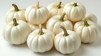 Fresh white mini pumpkins arranged in group on light background, organic autumn harvest produce for seasonal decoration and cooking.