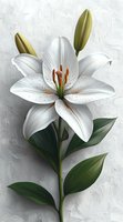 Pure white lily bloom with unopened buds and green leaves against textured light background. Detailed botanical illustration shows delicate flower petals and stamens.