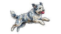 Energetic mixed breed dog with fluffy coat jumping mid-air, isolated on white background. Suitable for pet care, veterinary, training, and animal-related design projects.