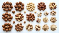 Assorted nuts and legumes arranged in organized clusters on white background, including hazelnuts, macadamia, peanuts and seeds for culinary, nutritional and food styling applications.