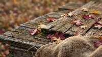 Autumn leaves scattered on weathered wooden deck with burlap sack, creating rustic fall seasonal atmosphere for harvest decorating and outdoor lifestyle concepts.