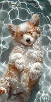 Adorable Papillon puppy floating in swimming pool with sunlit water reflections, showing relaxed expression and fluffy fur while cooling off on summer day.