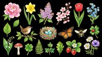 Botanical flower and plant illustrations with bird nest, butterfly, bee, and strawberries isolated on transparent background. Ready for clipart, t-shirt design, stickers, sublimation, and print-on-demand projects.