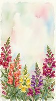 Watercolor snapdragon flowers in pink, purple, yellow and orange on soft pastel background with copy space for cards and invitations.