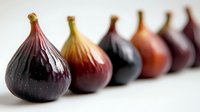 Fresh ripe figs arranged in line on white background, showing variety of colors from deep purple to light brown, macro food photography with soft focus.