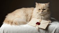 Fluffy cream Persian cat with sealed envelope featuring red wax seal on white fabric against dark background for elegant correspondence concepts.