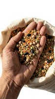 Hand holding a colorful mix of legumes, lentils, and grains over a burlap sack, showcasing healthy plant-based protein for nutrition concepts.