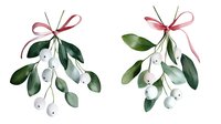 Festive mistletoe branches with white berries, green leaves and pink ribbons on isolated background. Holiday botanical watercolor style decoration.