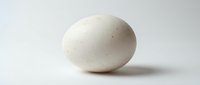 Single white speckled egg on neutral background, suitable for food, cooking, nutrition, and culinary design projects.