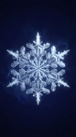 Intricate crystal snowflake with detailed geometric patterns on deep blue background for winter holiday designs and seasonal decorations.