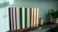 Colorful vintage books arranged on rustic wooden shelf with ceramic mug and potted fern plant creating cozy reading nook atmosphere for home decor.