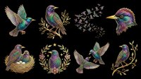 Colorful hummingbirds and songbirds collection isolated on transparent background. Ready for t-shirt design, clipart, stickers, sublimation and print-on-demand products.