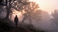 Woman walking alone on misty forest path at sunrise, surrounded by tall trees and fog. Solitude, nature exploration, wellness and outdoor adventure concept for travel and lifestyle use.