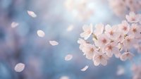Delicate cherry blossom flowers with soft pink petals falling gently against dreamy blurred background creating peaceful spring atmosphere for wellness content.