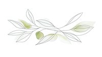Minimalist botanical line art with delicate leaves and soft green watercolor accents, creating an elegant organic composition for wellness branding or modern home decor.