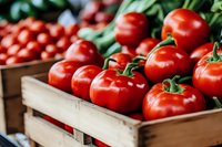 Fresh ripe red tomatoes in wooden crates at farmers market display. Organic produce harvest ready for healthy cooking and culinary preparations.