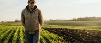 Middle-aged male farmer in casual work attire inspecting crop fields during daytime. Agricultural professional examining green seedlings in cultivated farmland for harvest planning and soil management.