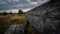 Weathered wooden bench in rural grassland with dramatic cloudy sky and distant trees, suitable for nature, landscape, and outdoor editorial use.
