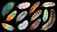 Feather collection featuring peacock, bird, and decorative plumes in vibrant colors isolated on transparent background. Ready for t-shirt design, clipart, stickers, sublimation, and print-on-demand projects.